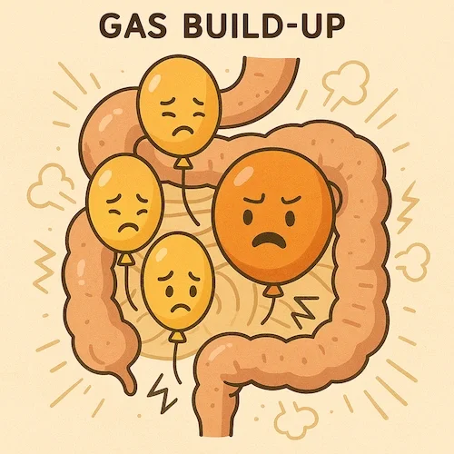 Illustration: worried balloons of gas building up inside the intestines
