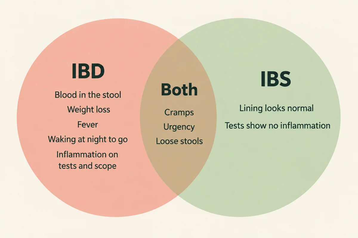 Overlap diagram: the IBD circle lists blood in the stool, weight loss, fever, waking at night to go, and inflammation on tests and scope; the shared middle lists cramps, urgency and loose stools; the IBS circle lists lining looks normal and tests show no inflammation
