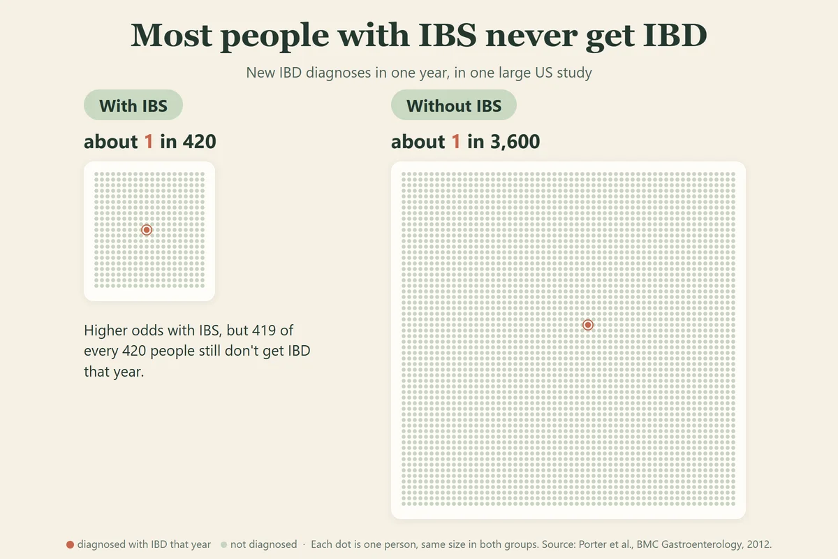 Two dot grids drawn to the same scale: 420 dots with one highlighted for people with IBS, and 3,600 dots with one highlighted for people without IBS, under the headline "Most people with IBS never get IBD"
