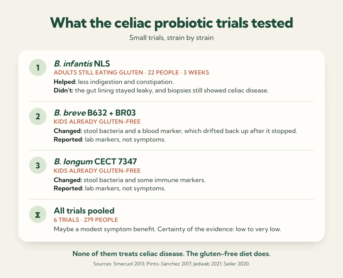 What the probiotic trials in celiac disease tested